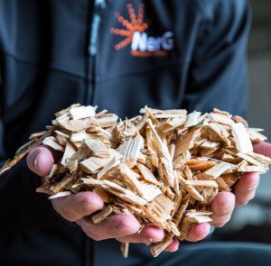Hands holding wood chip
